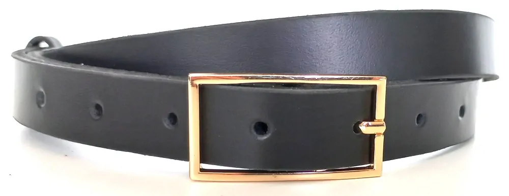 Úzký opasek zlatá nebo stříbrná přezka